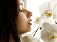 Posing - Zishy 65001874 Miki Pedangen Beauty Is Divine - Photos 65001874 Divine Beauty Is Pedangen Miki Softcore