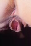 Bentbox Model - Photophantasia - Open And Up Shelly'S Lips Pussy Close Spread Big