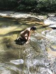 Bentbox Model - Kathycr Katherinne - Kathycr Falls Rodriguez Nauyaca Katherinne
