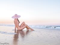 Bentbox Model - Tinyhini - Sunset Views