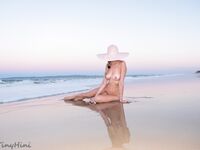 Bentbox Model - Tinyhini - Sunset Views