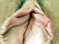 Bentbox Model - Annabelmiller - A Closeups: Portraits Beauty Annabel`S Vagina Of
