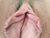 Bentbox Model - Annabelmiller - A Closeups: Portraits Beauty Annabel`S Vagina Of