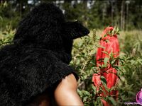 Amateur - Cosplaydeviants 1073_Fairytale - 1073_Fairytale Photos Cosplay
