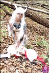 Amateur - Cosplaydeviants 1313_Halfdemon - 1313_Halfdemon Photos Cosplay