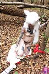 Amateur - Cosplaydeviants 1313_Halfdemon - 1313_Halfdemon Photos Cosplay