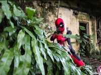Amateur - Cosplaydeviants 1388_Comedyrelief - Photos 1388_Comedyrelief Cosplay
