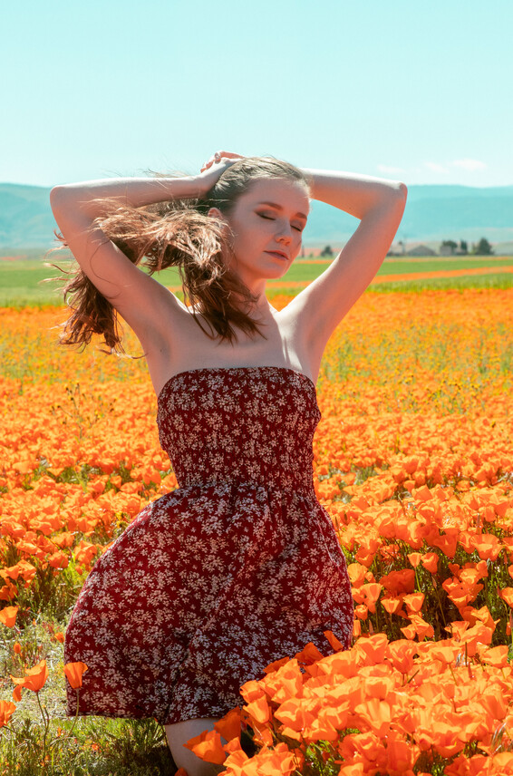 Poppies Emily Photos Bloom 2020-04-28